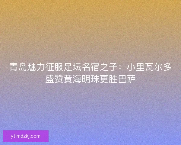 青岛魅力征服足坛名宿之子：小里瓦尔多盛赞黄海明珠更胜巴萨