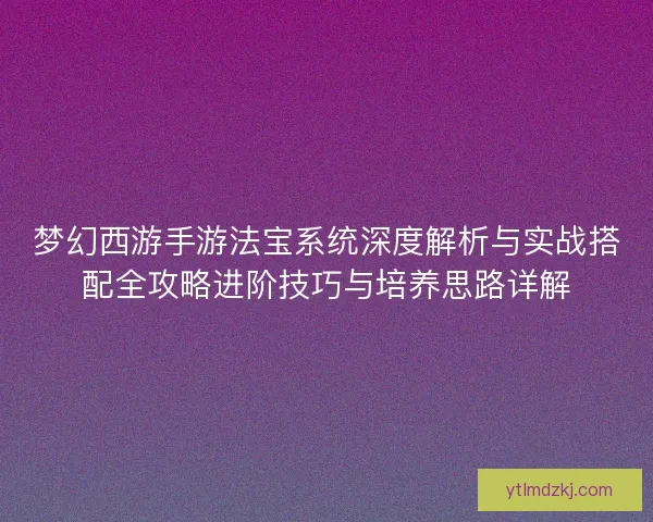 梦幻西游手游法宝系统深度解析与实战搭配全攻略进阶技巧与培养思路详解